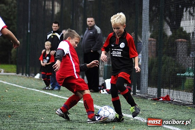 Zdjęcie w galerii na portalu naszraciborz.pl: Młode Wilki wygrywają mecz za meczem wiadomości z regionu