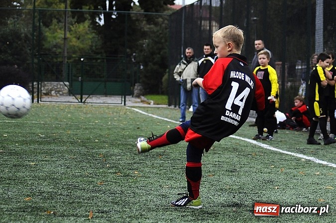 Zdjęcie w galerii na portalu naszraciborz.pl: Młode Wilki wygrywają mecz za meczem wiadomości z regionu