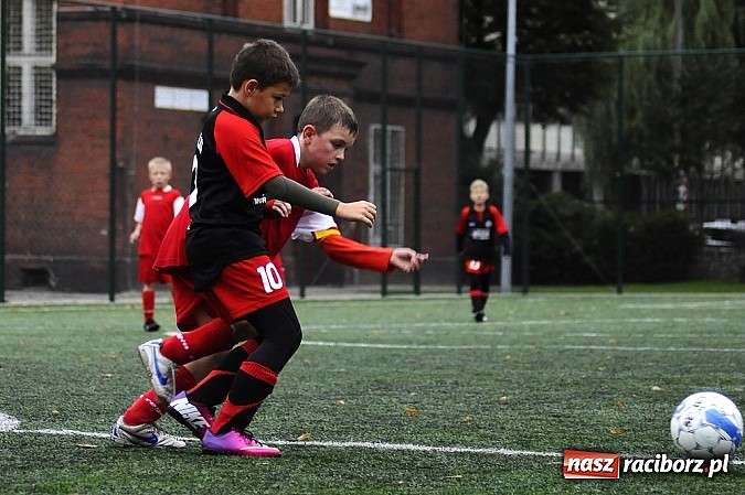 Zdjęcie w galerii na portalu naszraciborz.pl: Młode Wilki wygrywają mecz za meczem wiadomości z regionu