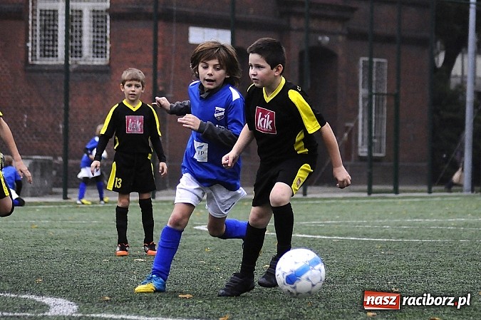 Zdjęcie w galerii na portalu naszraciborz.pl: Młode Wilki wygrywają mecz za meczem wiadomości z regionu
