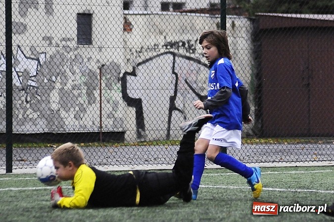 Zdjęcie w galerii na portalu naszraciborz.pl: Młode Wilki wygrywają mecz za meczem wiadomości z regionu