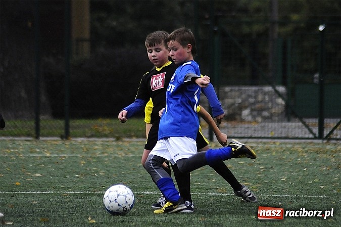 Zdjęcie w galerii na portalu naszraciborz.pl: Młode Wilki wygrywają mecz za meczem wiadomości z regionu