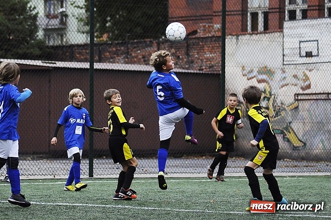 Zdjęcie w galerii na portalu naszraciborz.pl: Młode Wilki wygrywają mecz za meczem wiadomości z regionu