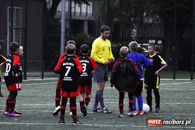Zdjęcie w galerii na portalu naszraciborz.pl: Młode Wilki wygrywają mecz za meczem wiadomości z regionu