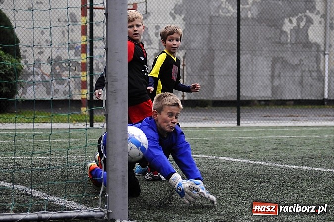 Zdjęcie w galerii na portalu naszraciborz.pl: Młode Wilki wygrywają mecz za meczem wiadomości z regionu