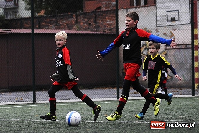 Zdjęcie w galerii na portalu naszraciborz.pl: Młode Wilki wygrywają mecz za meczem wiadomości z regionu