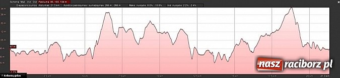 Zdjęcie w galerii na portalu naszraciborz.pl: Raciborzanie na Wilno Maraton 2013 wiadomości z regionu