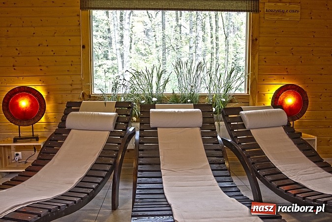 Zdjęcie w galerii na portalu naszraciborz.pl: Zorganizuj spotkanie na Leśnej Polanie  wiadomości z regionu