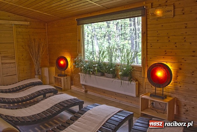 Zdjęcie w galerii na portalu naszraciborz.pl: Zorganizuj spotkanie na Leśnej Polanie  wiadomości z regionu