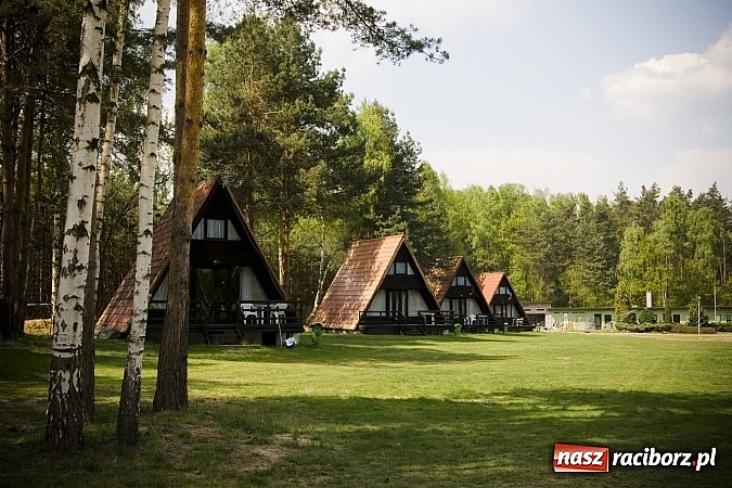 Zdjęcie w galerii na portalu naszraciborz.pl: Zorganizuj spotkanie na Leśnej Polanie  wiadomości z regionu