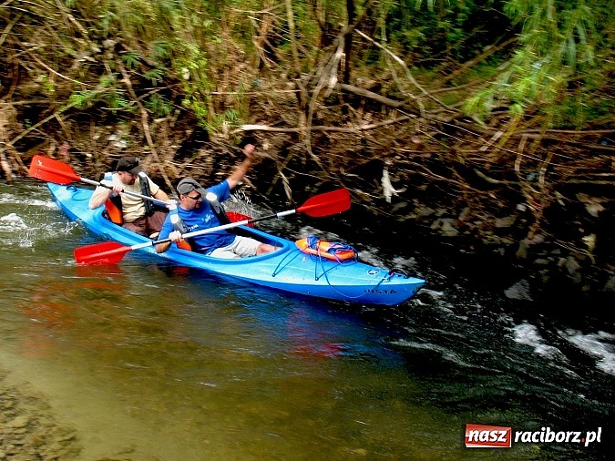 Zdjęcie w galerii na portalu naszraciborz.pl: Zorganizuj spotkanie na Leśnej Polanie  wiadomości z regionu