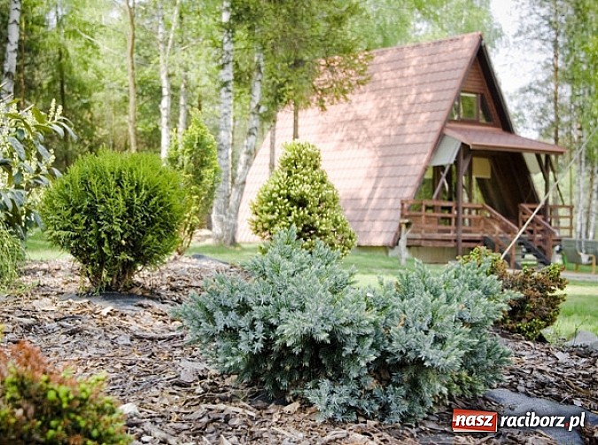 Zdjęcie w galerii na portalu naszraciborz.pl: Zorganizuj spotkanie na Leśnej Polanie  wiadomości z regionu