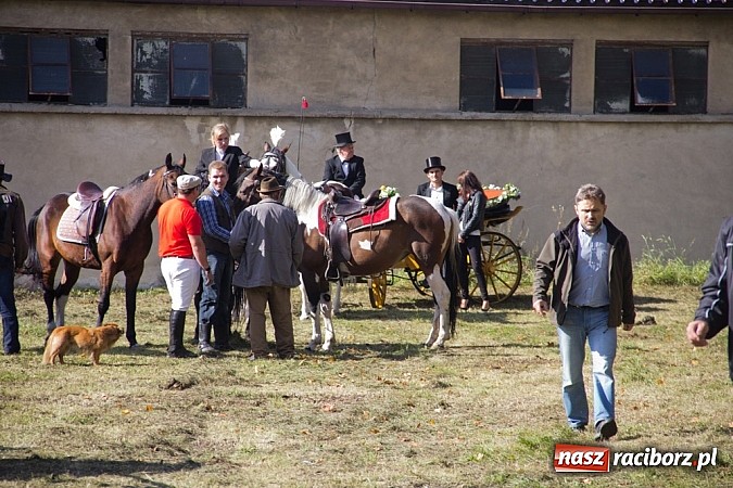 Zdjęcie w galerii na portalu naszraciborz.pl: Hubertus 2013 - w Krowiarkach gonili lisa wiadomości z regionu