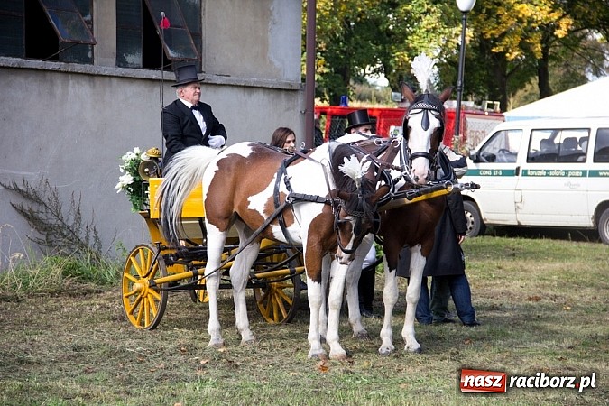 Zdjęcie w galerii na portalu naszraciborz.pl: Hubertus 2013 - w Krowiarkach gonili lisa wiadomości z regionu