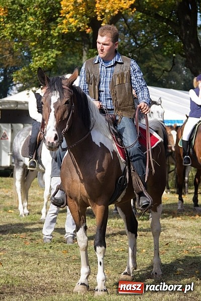 Zdjęcie w galerii na portalu naszraciborz.pl: Hubertus 2013 - w Krowiarkach gonili lisa wiadomości z regionu