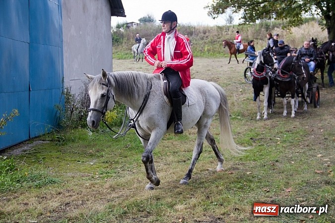 Zdjęcie w galerii na portalu naszraciborz.pl: Hubertus 2013 - w Krowiarkach gonili lisa wiadomości z regionu