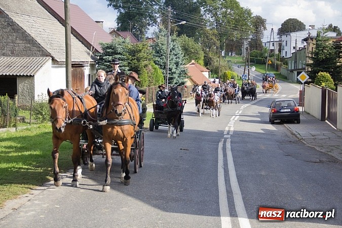 Zdjęcie w galerii na portalu naszraciborz.pl: Hubertus 2013 - w Krowiarkach gonili lisa wiadomości z regionu