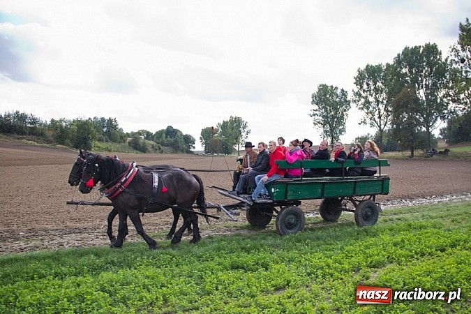 Zdjęcie w galerii na portalu naszraciborz.pl: Hubertus 2013 - w Krowiarkach gonili lisa wiadomości z regionu