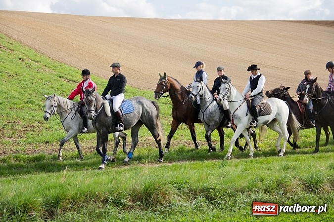 Zdjęcie w galerii na portalu naszraciborz.pl: Hubertus 2013 - w Krowiarkach gonili lisa wiadomości z regionu
