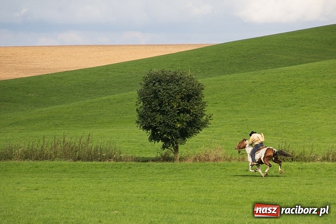 Zdjęcie w galerii na portalu naszraciborz.pl: Hubertus 2013 - w Krowiarkach gonili lisa wiadomości z regionu