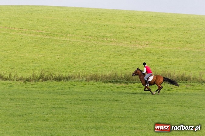 Zdjęcie w galerii na portalu naszraciborz.pl: Hubertus 2013 - w Krowiarkach gonili lisa wiadomości z regionu