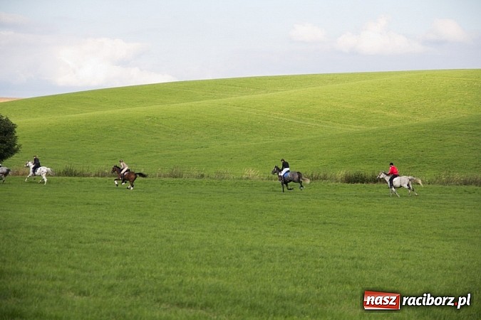 Zdjęcie w galerii na portalu naszraciborz.pl: Hubertus 2013 - w Krowiarkach gonili lisa wiadomości z regionu