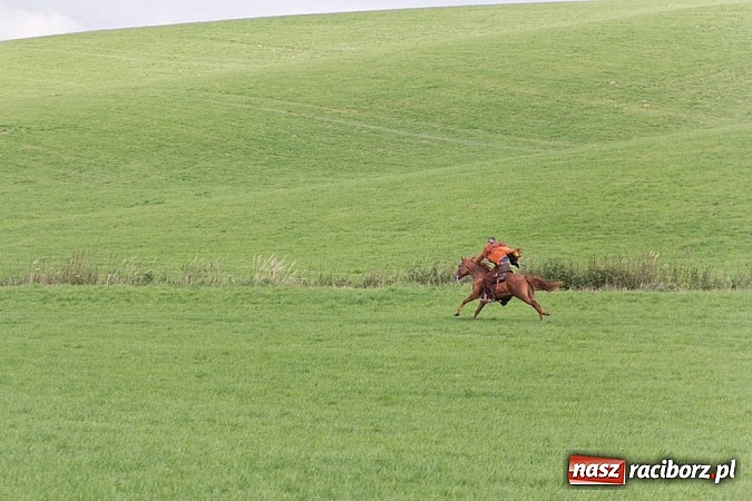 Zdjęcie w galerii na portalu naszraciborz.pl: Hubertus 2013 - w Krowiarkach gonili lisa wiadomości z regionu