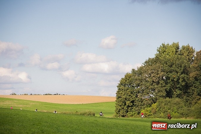 Zdjęcie w galerii na portalu naszraciborz.pl: Hubertus 2013 - w Krowiarkach gonili lisa wiadomości z regionu