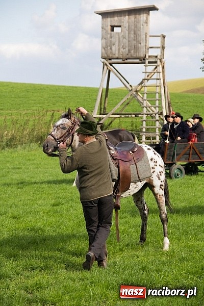Zdjęcie w galerii na portalu naszraciborz.pl: Hubertus 2013 - w Krowiarkach gonili lisa wiadomości z regionu