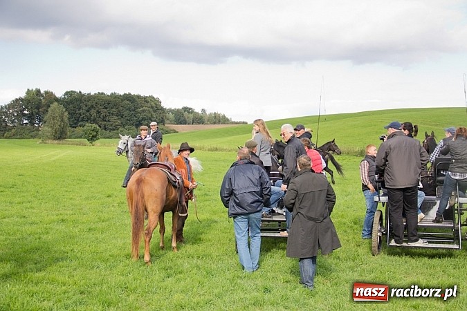 Zdjęcie w galerii na portalu naszraciborz.pl: Hubertus 2013 - w Krowiarkach gonili lisa wiadomości z regionu