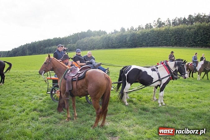 Zdjęcie w galerii na portalu naszraciborz.pl: Hubertus 2013 - w Krowiarkach gonili lisa wiadomości z regionu