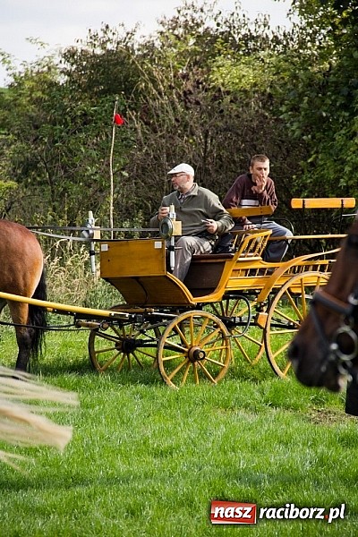 Zdjęcie w galerii na portalu naszraciborz.pl: Hubertus 2013 - w Krowiarkach gonili lisa wiadomości z regionu