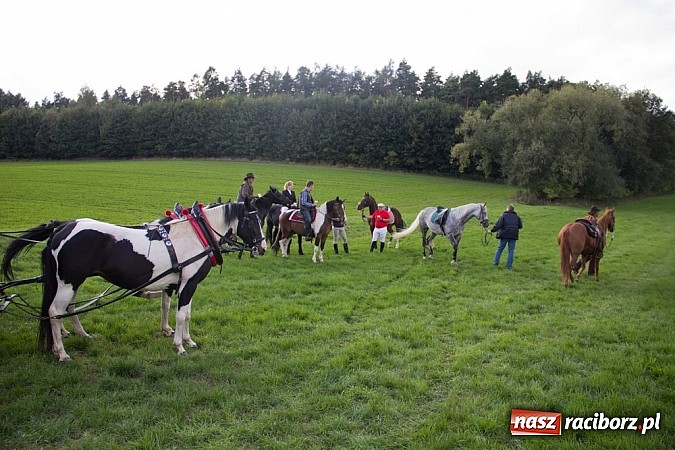 Zdjęcie w galerii na portalu naszraciborz.pl: Hubertus 2013 - w Krowiarkach gonili lisa wiadomości z regionu