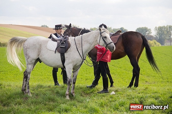 Zdjęcie w galerii na portalu naszraciborz.pl: Hubertus 2013 - w Krowiarkach gonili lisa wiadomości z regionu