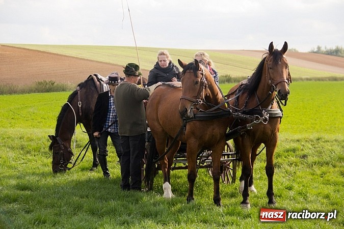 Zdjęcie w galerii na portalu naszraciborz.pl: Hubertus 2013 - w Krowiarkach gonili lisa wiadomości z regionu