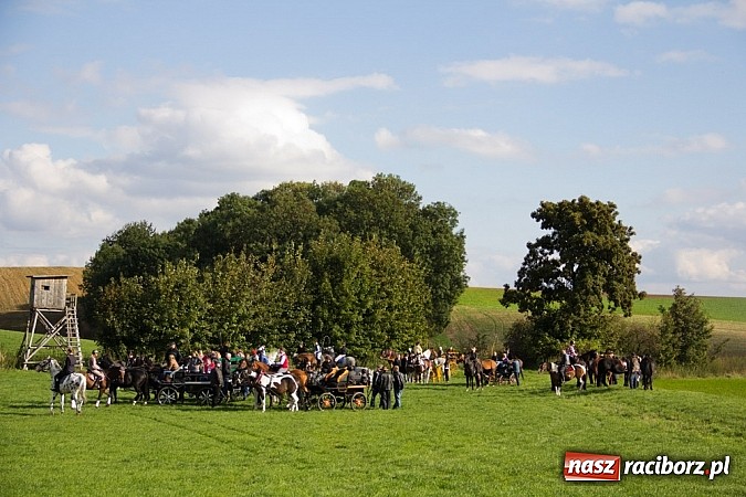 Zdjęcie w galerii na portalu naszraciborz.pl: Hubertus 2013 - w Krowiarkach gonili lisa wiadomości z regionu