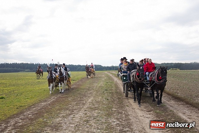 Zdjęcie w galerii na portalu naszraciborz.pl: Hubertus 2013 - w Krowiarkach gonili lisa wiadomości z regionu