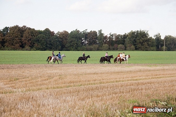 Zdjęcie w galerii na portalu naszraciborz.pl: Hubertus 2013 - w Krowiarkach gonili lisa wiadomości z regionu