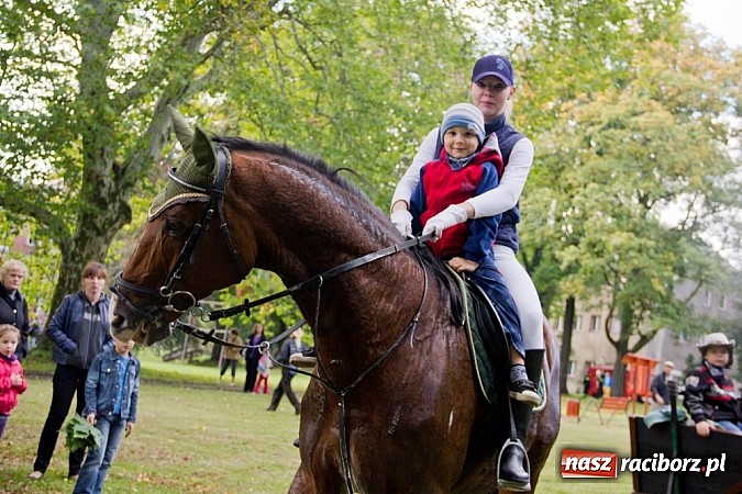 Zdjęcie w galerii na portalu naszraciborz.pl: Hubertus 2013 - w Krowiarkach gonili lisa wiadomości z regionu