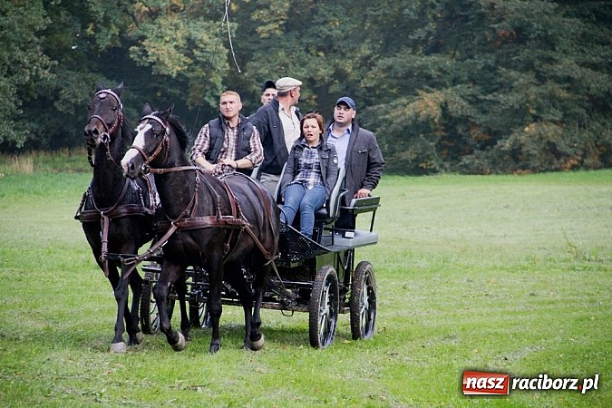 Zdjęcie w galerii na portalu naszraciborz.pl: Hubertus 2013 - w Krowiarkach gonili lisa wiadomości z regionu