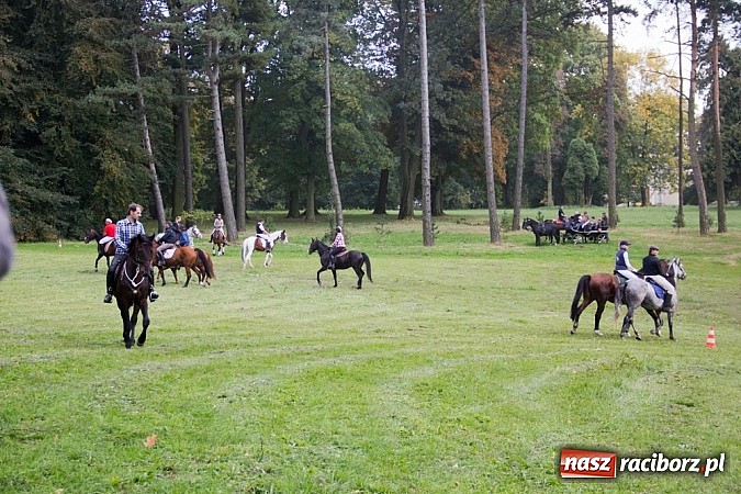 Zdjęcie w galerii na portalu naszraciborz.pl: Hubertus 2013 - w Krowiarkach gonili lisa wiadomości z regionu