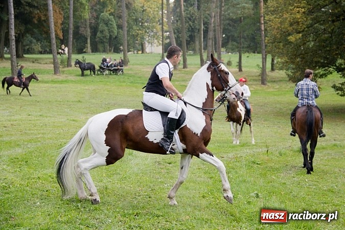 Zdjęcie w galerii na portalu naszraciborz.pl: Hubertus 2013 - w Krowiarkach gonili lisa wiadomości z regionu