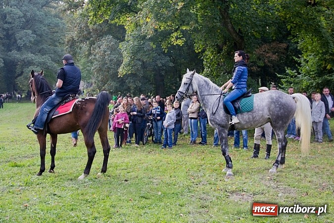 Zdjęcie w galerii na portalu naszraciborz.pl: Hubertus 2013 - w Krowiarkach gonili lisa wiadomości z regionu