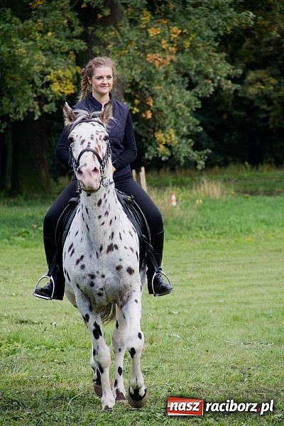 Zdjęcie w galerii na portalu naszraciborz.pl: Hubertus 2013 - w Krowiarkach gonili lisa wiadomości z regionu