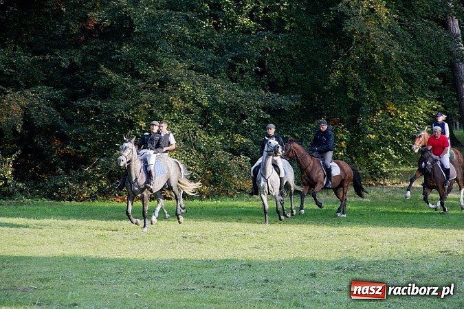 Zdjęcie w galerii na portalu naszraciborz.pl: Hubertus 2013 - w Krowiarkach gonili lisa wiadomości z regionu