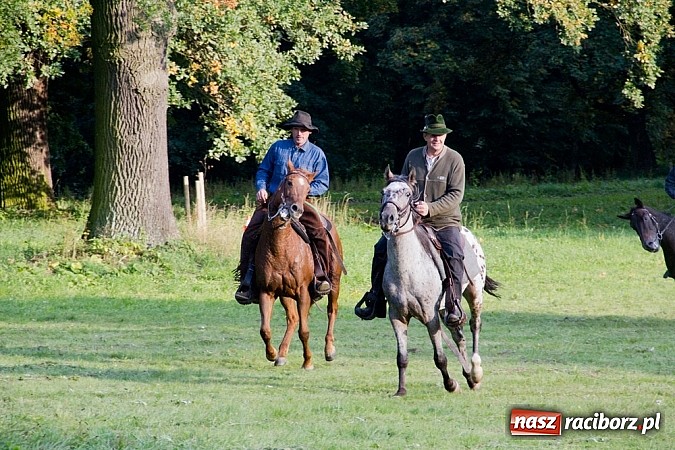 Zdjęcie w galerii na portalu naszraciborz.pl: Hubertus 2013 - w Krowiarkach gonili lisa wiadomości z regionu