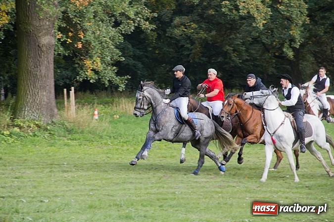 Zdjęcie w galerii na portalu naszraciborz.pl: Hubertus 2013 - w Krowiarkach gonili lisa wiadomości z regionu