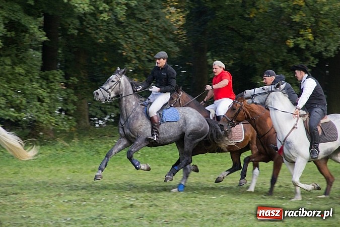 Zdjęcie w galerii na portalu naszraciborz.pl: Hubertus 2013 - w Krowiarkach gonili lisa wiadomości z regionu