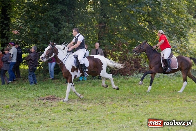 Zdjęcie w galerii na portalu naszraciborz.pl: Hubertus 2013 - w Krowiarkach gonili lisa wiadomości z regionu