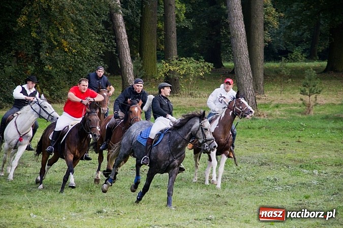 Zdjęcie w galerii na portalu naszraciborz.pl: Hubertus 2013 - w Krowiarkach gonili lisa wiadomości z regionu